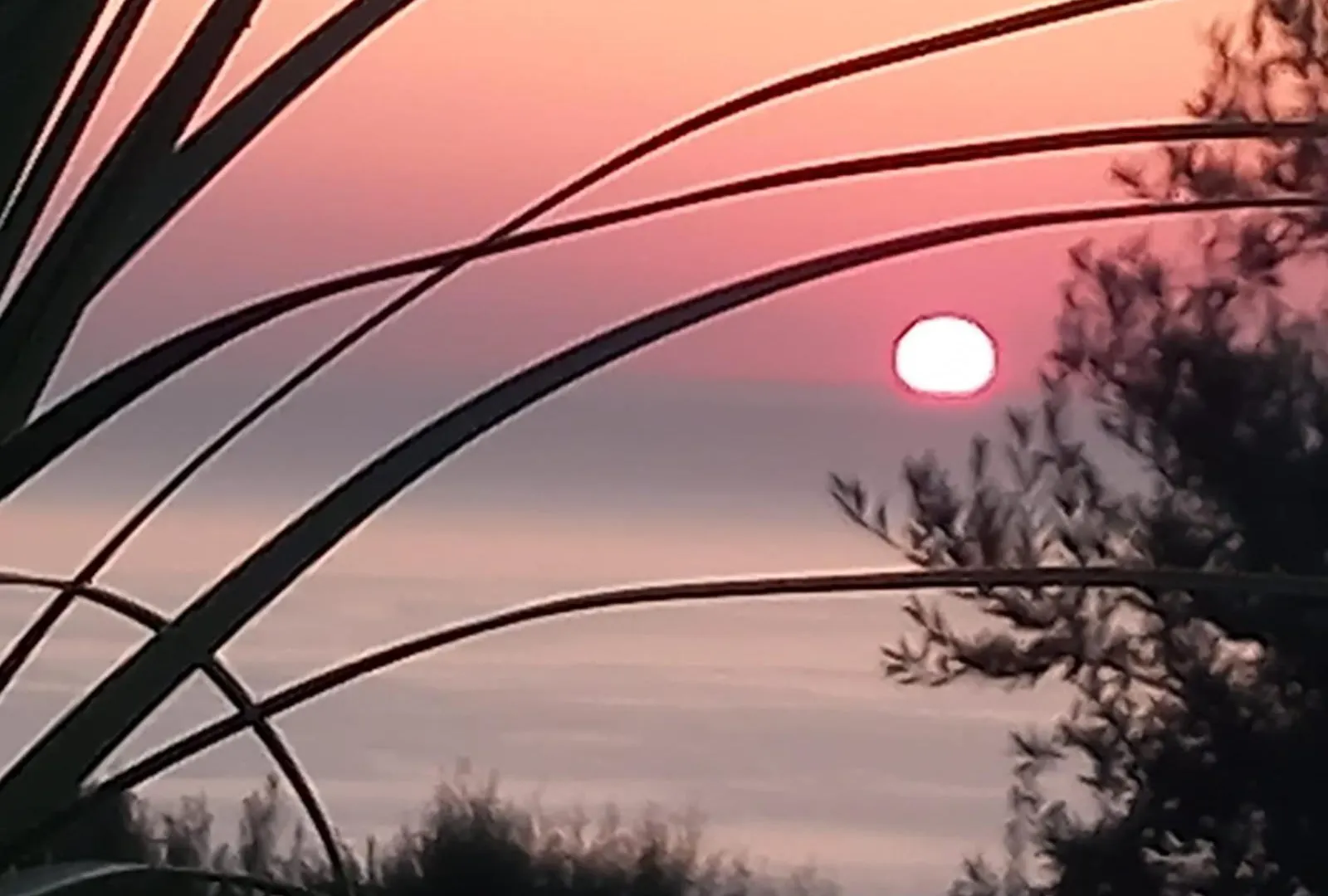 Villa Where The Sun Rises Scopello